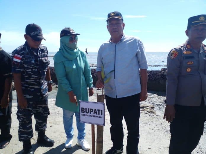 hindarkan_abrasi_di_desa_bagan_kuala_sergai_200_ribu_pohon_mangrove_ditanam