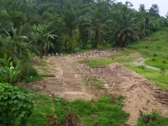 hingga_13_oktober_567_pasien_covid_19_dimakamkan_di_simalingkar_b_medan