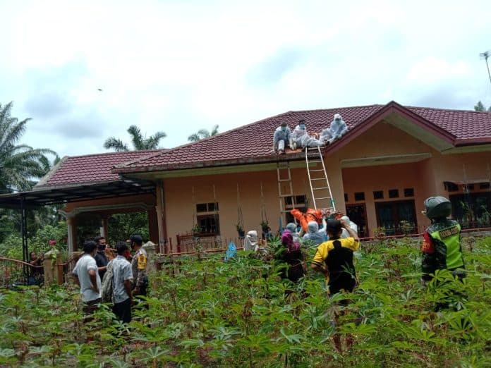 hotmatua_tambunan_tewas_di_atas_genteng_rumah_kira_kira_apa_penyebabnya