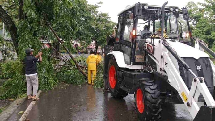 hujan_deras_disertai_angin_kencang_sebabkan_sejumlah_pohon_tumbang_di_medan_sunggal