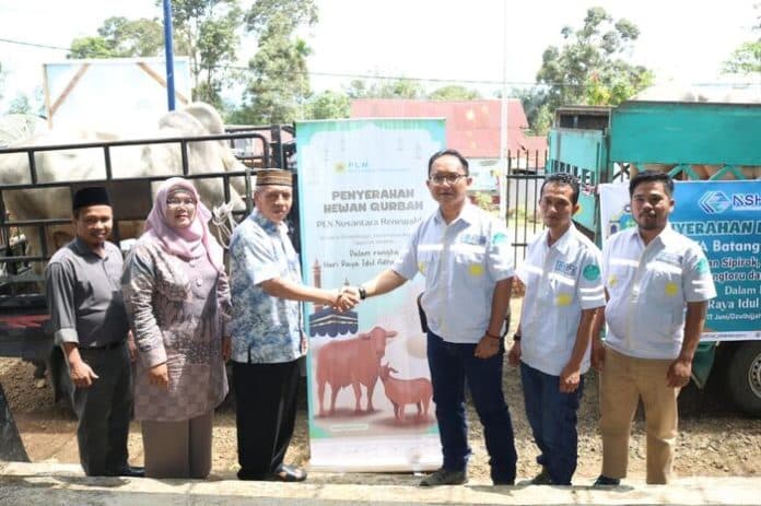 idul_adha_tahun_ini_pt_nshe_distribusikan_enam_sapi_kurban