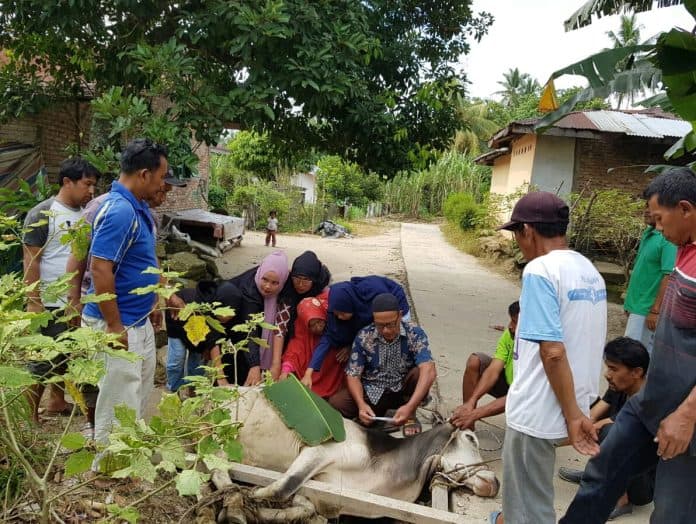 iduladha_rumah_aspirasi_sahabat_novri_aritonang_berkurban_untuk_warga_kurang_mampu