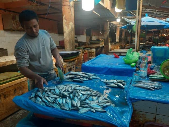 ikan_kembung_kosong_di_pasar_dwikora_siantar