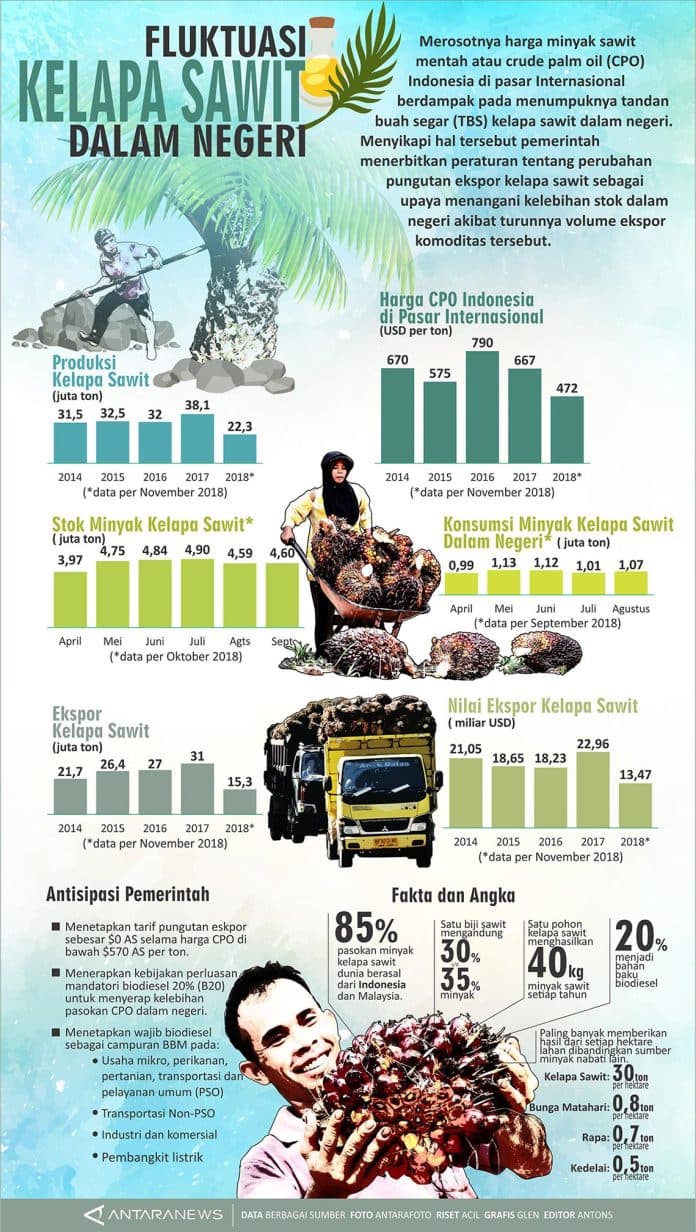 implementasi_b30_berbuah_manis_harga_cpo_sentuh_level_tertinggi