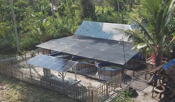 inalum_dorong_penggunaan_plts_dalam_pengembangan_perikanan_darat