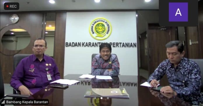 indonesia_buka_pintu_impor_ternak_sapi_australia_pasca_virus_lsd
