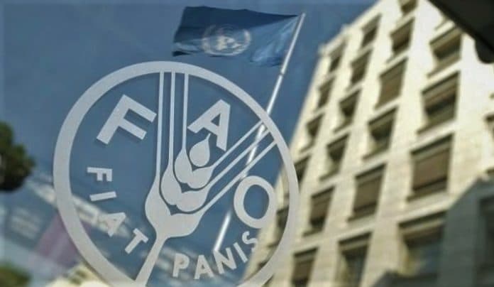 indonesia_dipercaya_sebagai_anggota_dewan_fao