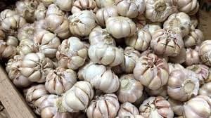 indonesia_perlu_diversifikasi_pasar_impor_bawang_putih