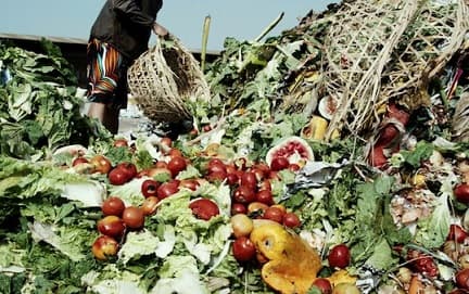 indonesia_produksi_48_juta_ton_food_loss_and_waste