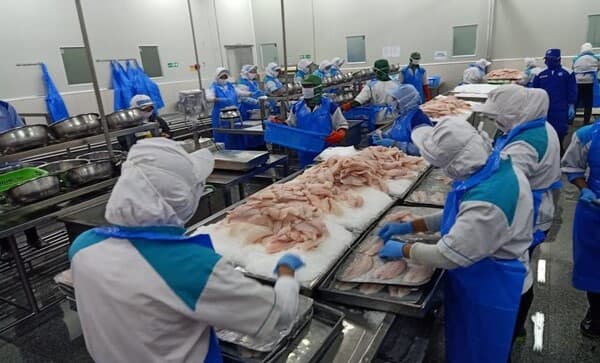 indonesia_targetkan_masuk_10_besar_eksportir_perikanan_dunia_pada_2029