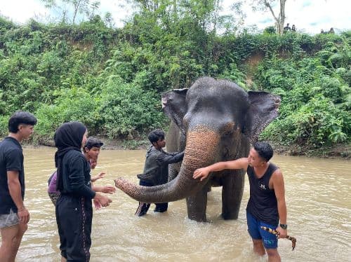 influencer_rangkul_bumantara_mandikan_siti_dan_cek_medan_zoo