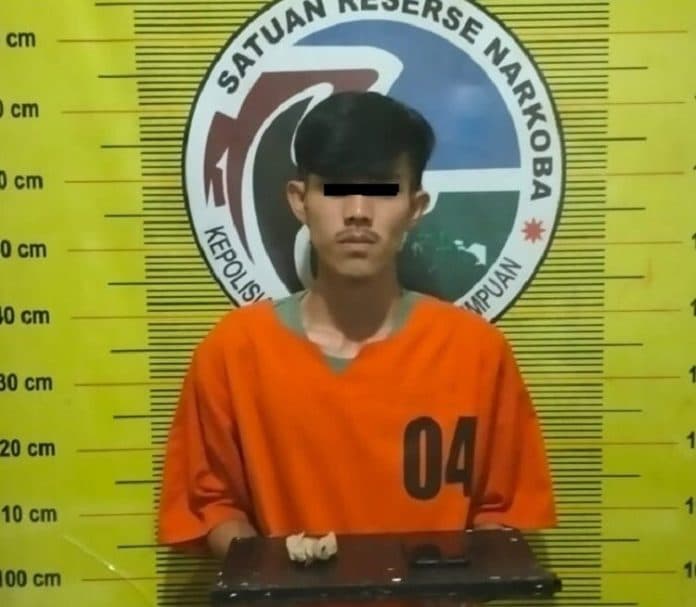 informasi_warga_pemilik_ganja_996_gram_ditangkap_sat_narkoba_padangsidimpuan