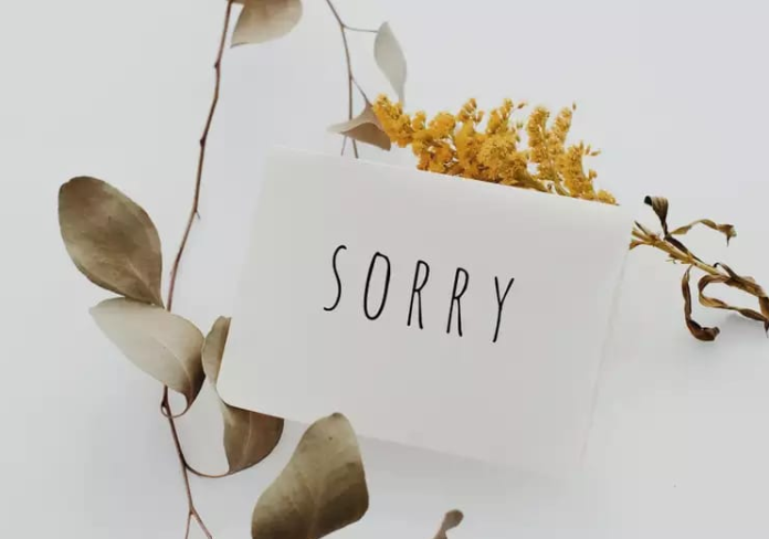 ini_lima_bahasa_permintaan_maaf_dan_cara_menggunakannya_di_tempat_kerja_anda