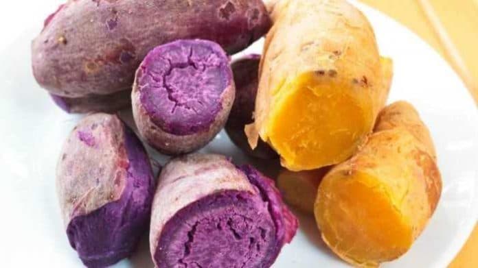 ini_lima_makanan_orang_jepang_bisa_panjang_umur