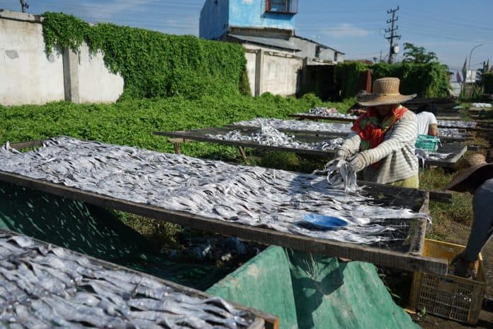 inovasi_alat_bantu_pengeringan_ikan_asin_buatan_usu_diberikan_kepada_ukm_belawan