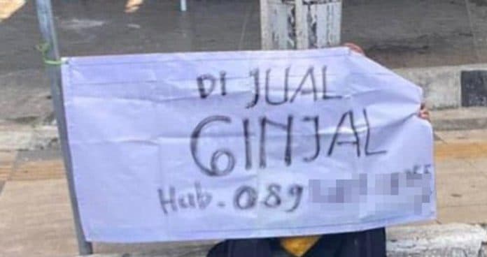 investasi_bodong_menjerat_seorang_ibu_di_tuban_rela_jual_ginjal