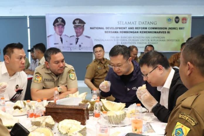 investor_dari_rrt_survey_lahan_perkebunan_durian_di_pakpak_bharat