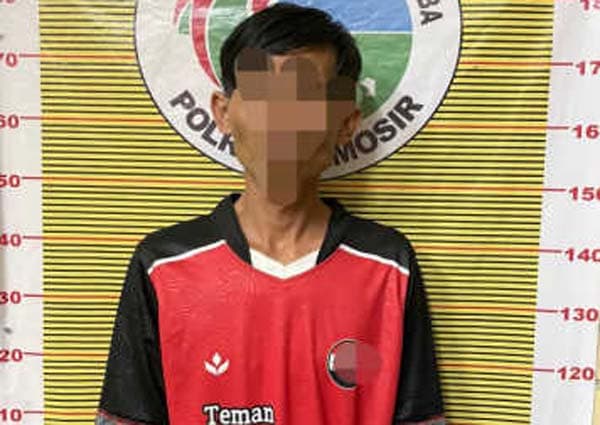 jadi_pengedar_ganja_gara_gara_kecanduan_warga_desa_pangaloan_samosir_ini_ditangkap_polisi