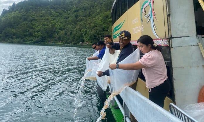 jaga_ekosistem_ribuan_benih_ihan_batak_dan_ikan_mas_ditebar_di_danau_toba
