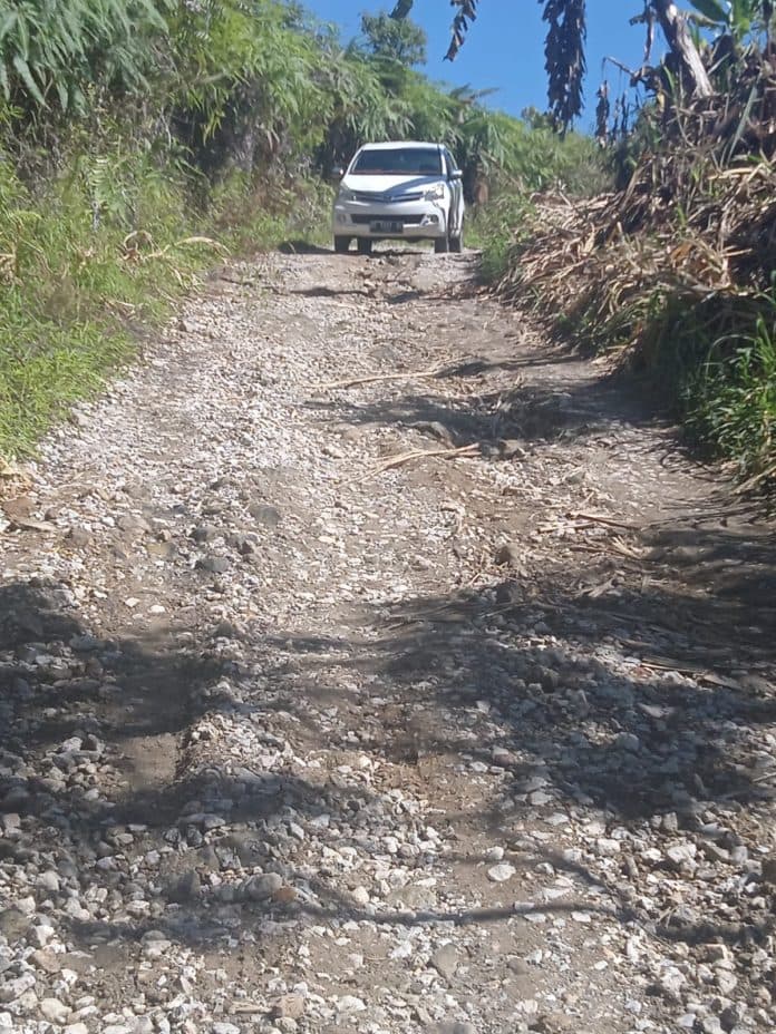 jalan_kecupak_ii_simerpara_pakpak_bharat_rusak_parah