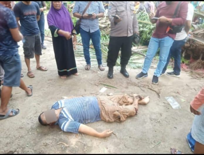 jamson_purba_tewas_ditimpa_pohon_sawit_tumbang_di_pantai_labu