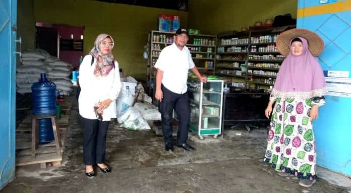 jatah_pupuk_bersubsidi_di_sumut_naik_dua_kali_lipat_jadi_478298_ton