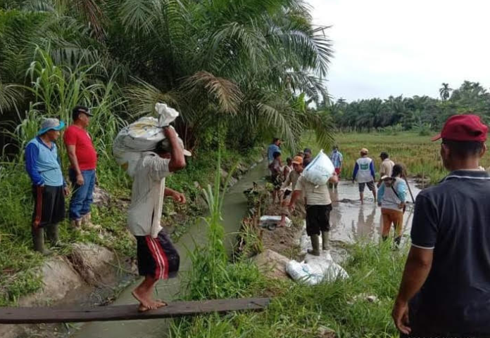 jebol_diterjang_banjir_petani_jaharun_a_galang_gotroy_perbaiki_irigasi