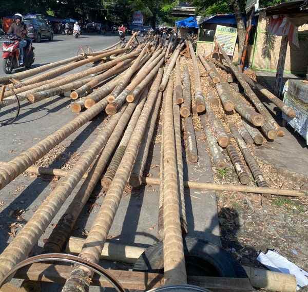 jelang_hut_ri_ke_79_pengusaha_sediakan_ratusan_batang_pohon_pinang