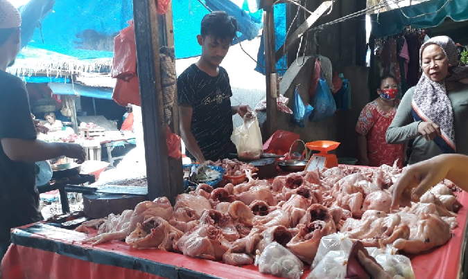 jelang_nataru_pedagang_kota_medan_sebut_stok_ayam_cukup