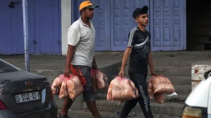 jerman_siapkan_bantuan_rp837_miliar_untuk_warga_gaza