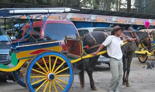 joki_sado_dan_pedagang_buah_di_berastagi_keluhkan_kunjungan_wisatawan
