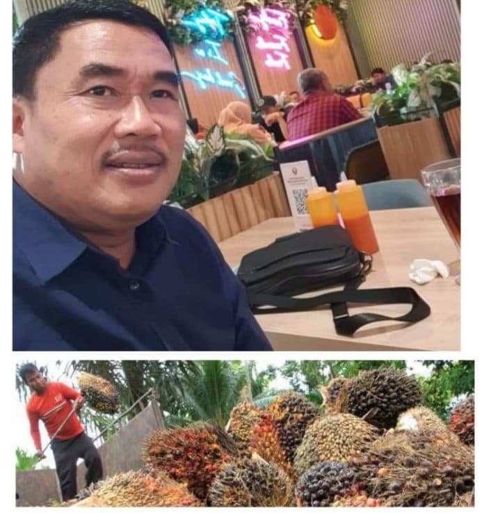 jokowi_buka_keran_ekspor_minyak_goreng_dan_cpo_ini_kata_anggota_dprd_sumut