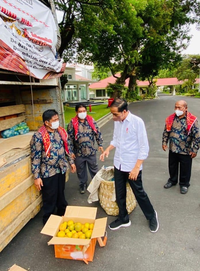 jokowi_terima_satu_truk_jeruk_kiriman_warga_karo_yang_minta_perbaikan_jalan