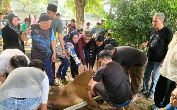 jumlah_hewan_kurban_dishub_medan_bertambah_setiap_tahunnya