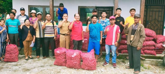 junimart_girsang_salurkan_20_ton_bibit_bawang_merah_dari_kementerian_kepada_petani_dairi