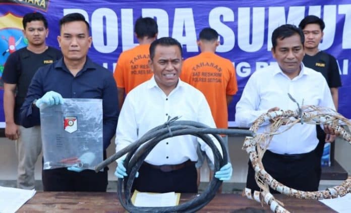 kabel_listrik_jalan_tol_dicuri_polres_sergai_tetapkan_2_pemuda_jadi_tersangka