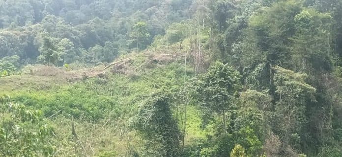 kades_suplai_kayu_untuk_proyek_bsrs_kasat_reskrim_dairi_kita_sudah_cek_tungkul