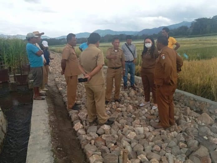 kadis_pertanian_dan_perikanan_toba_imbau_poktan_manfaatkan_bantuan_pemerintah