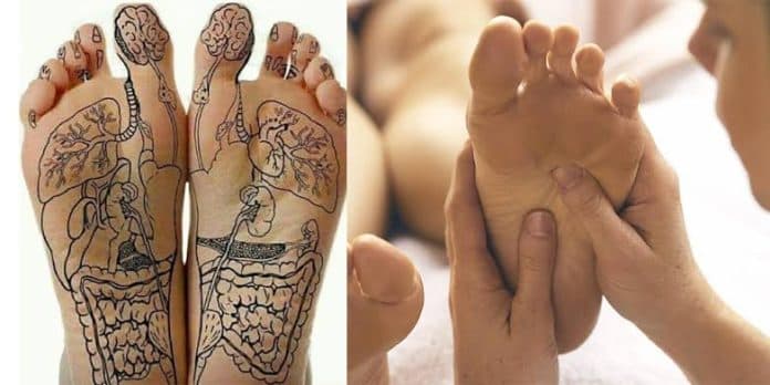 kaki_anda_terkoneksi_dengan_lima_bagian_utama_tubuh_ini
