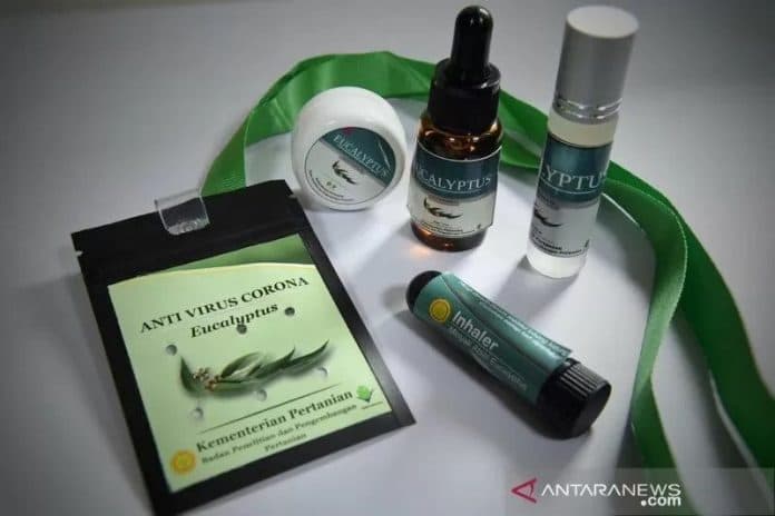 kalung_eucalyptus_sebagai_anti_covid_19_begini_kata_ahlinya