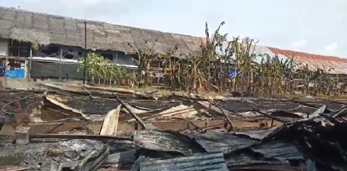kandang_ayam_marolop_di_desa_paya_gambar_hangus_terbakar_5_ribu_ayam_terpanggang