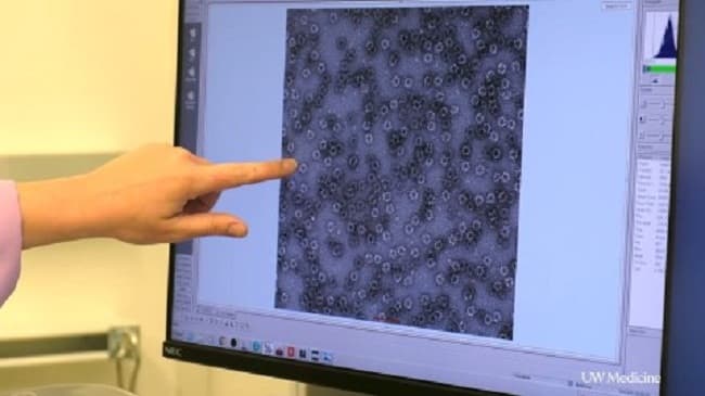 kandidat_vaksin_covid_19_baru_berbasis_nanopartikel_dirancang_secara_komputasi