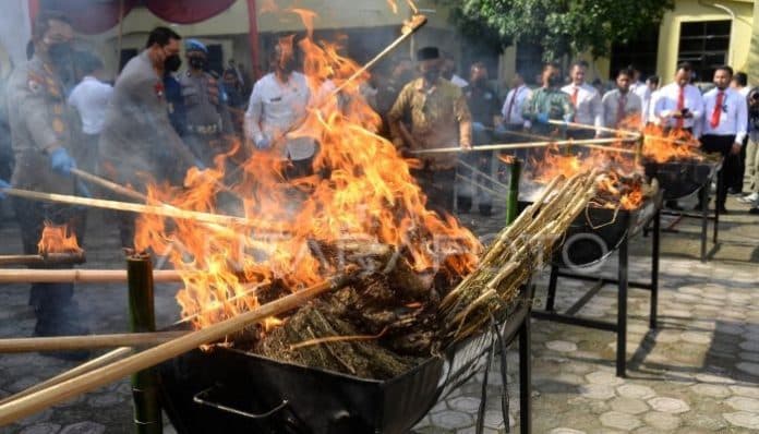 kantor_cabjari_tiga_binanga_musnahkan_barang_bukti_narkoba