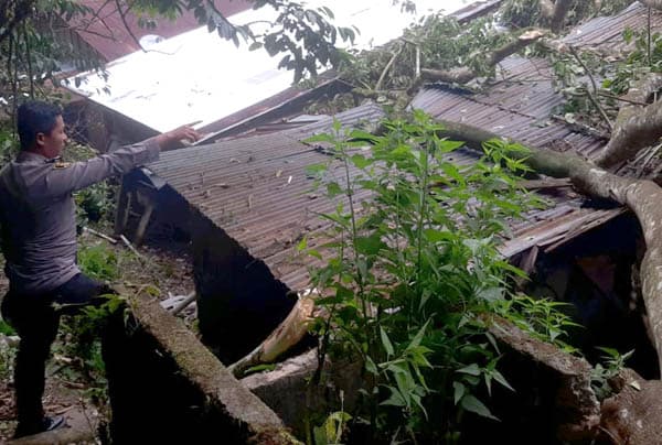 kantor_desa_desa_jangga_toruan_dan_rumah_warga_roboh_tertimpa_pohon