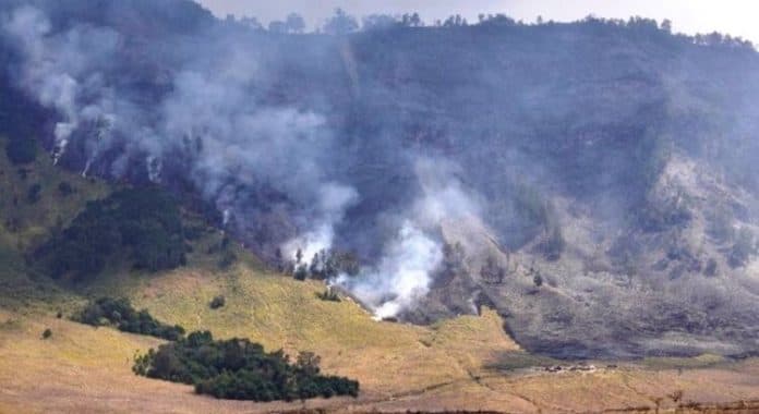 karhutla_bromo_khofifah_api_masih_menyala_dan_air_booming_diterjunkan