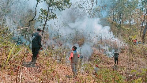 karhutla_di_lereng_gunung_agung_capai_715_hektar