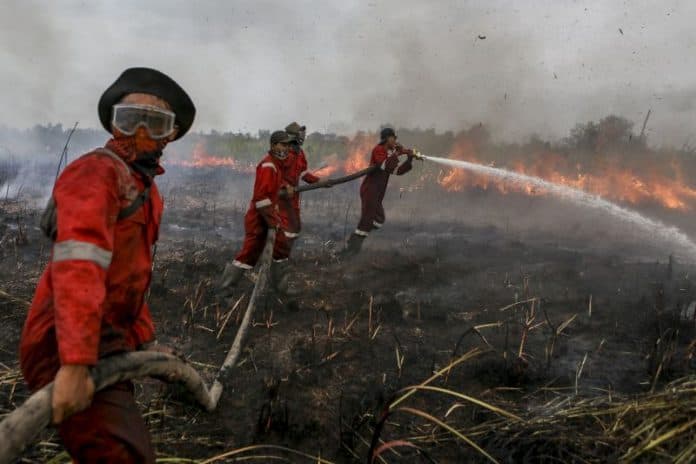 karhutla_di_riau_bisa_dipadamkan_setelah_tiga_hari