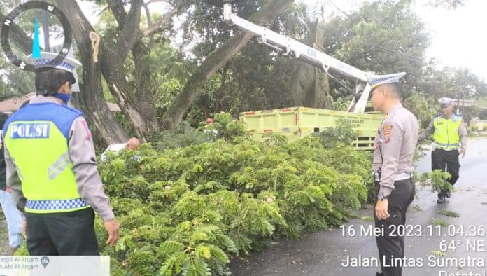 kasatlantas_polres_batu_bara_pimpin_penebangan_pohon