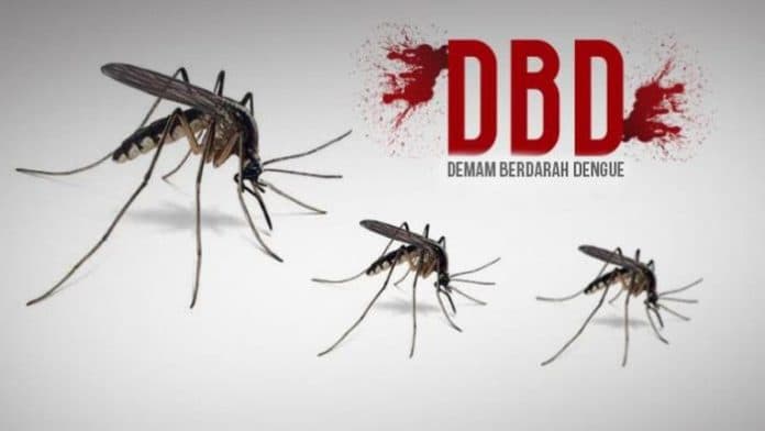 kasus_dbd_masih_tinggi_di_simalungun_4_meninggal_dan_148_terpapar
