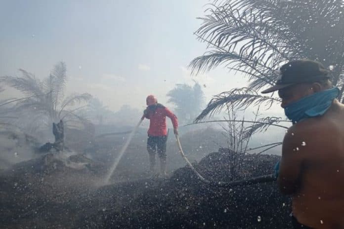 kebakaran_50_hektare_lahan_di_bengkalis_picu_kabut_asap
